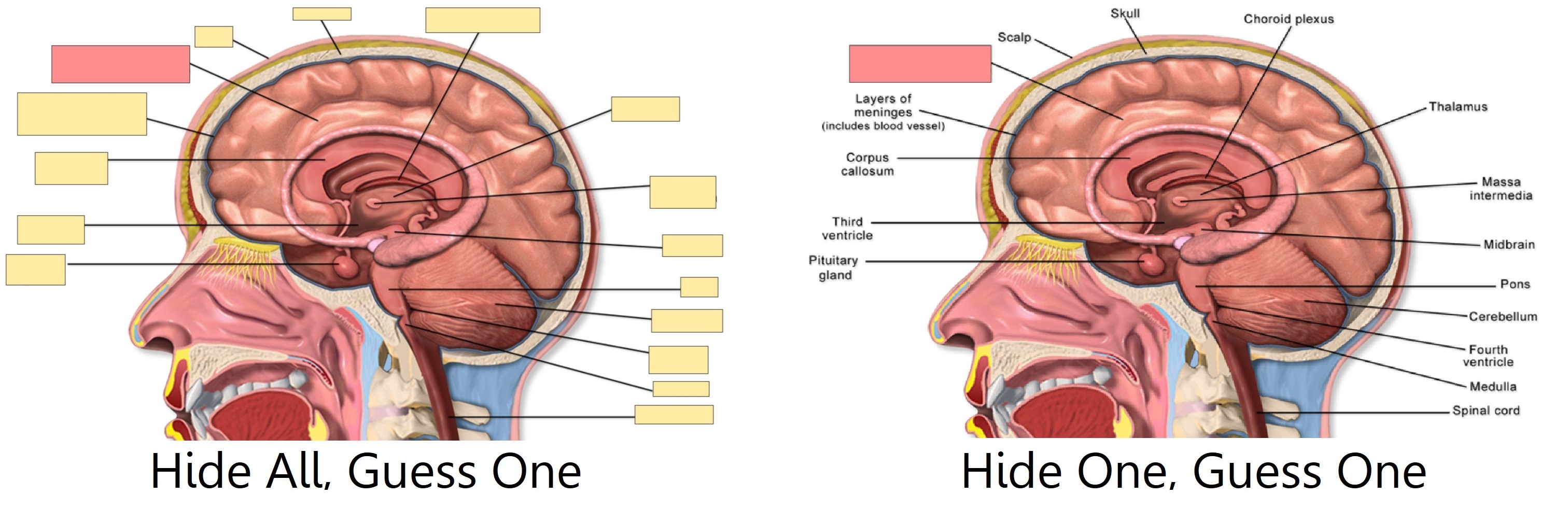 Image Occlusion Modes